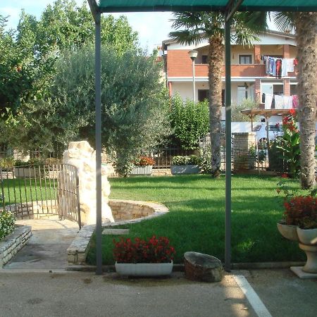 Apartments And Rooms Branka Novigrad Istria エクステリア 写真